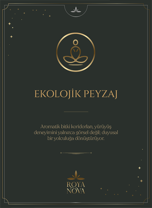 Doğa Peyzaj & Yaşam Alanları görseli 5